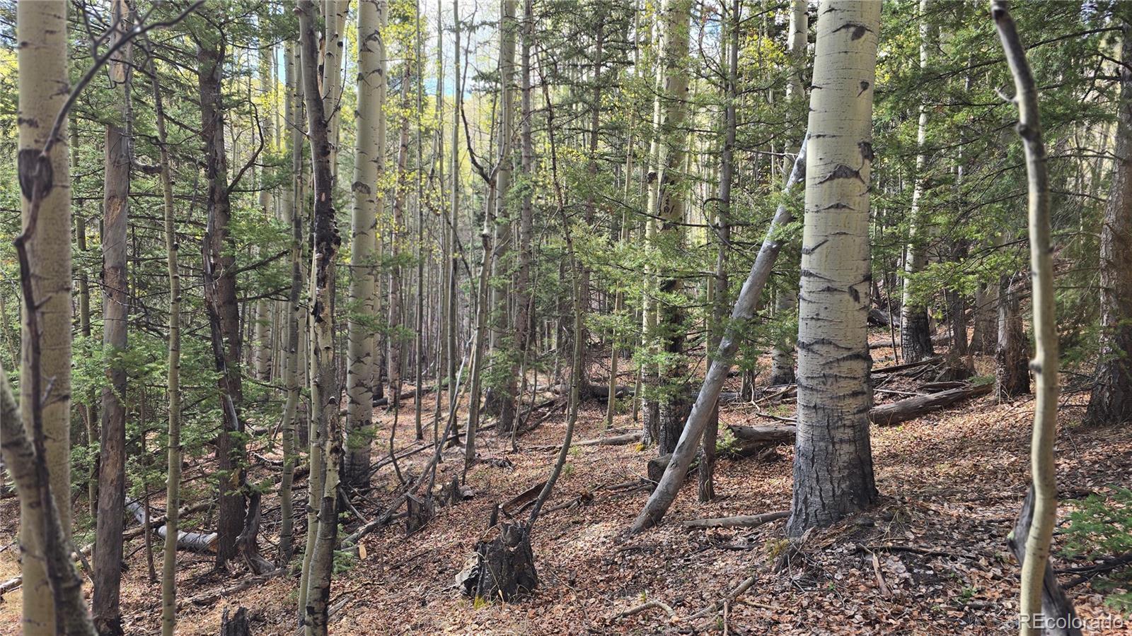 Lot 5244 Crossman Road Fort Garland CO 81133