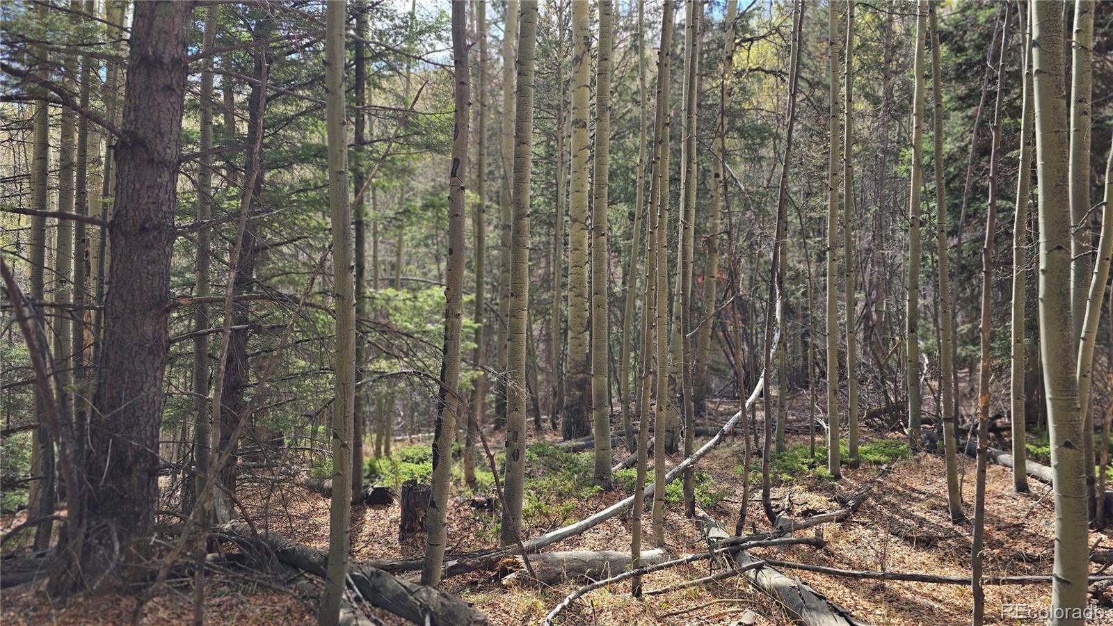 Lot 5244 Crossman Road Fort Garland CO 81133