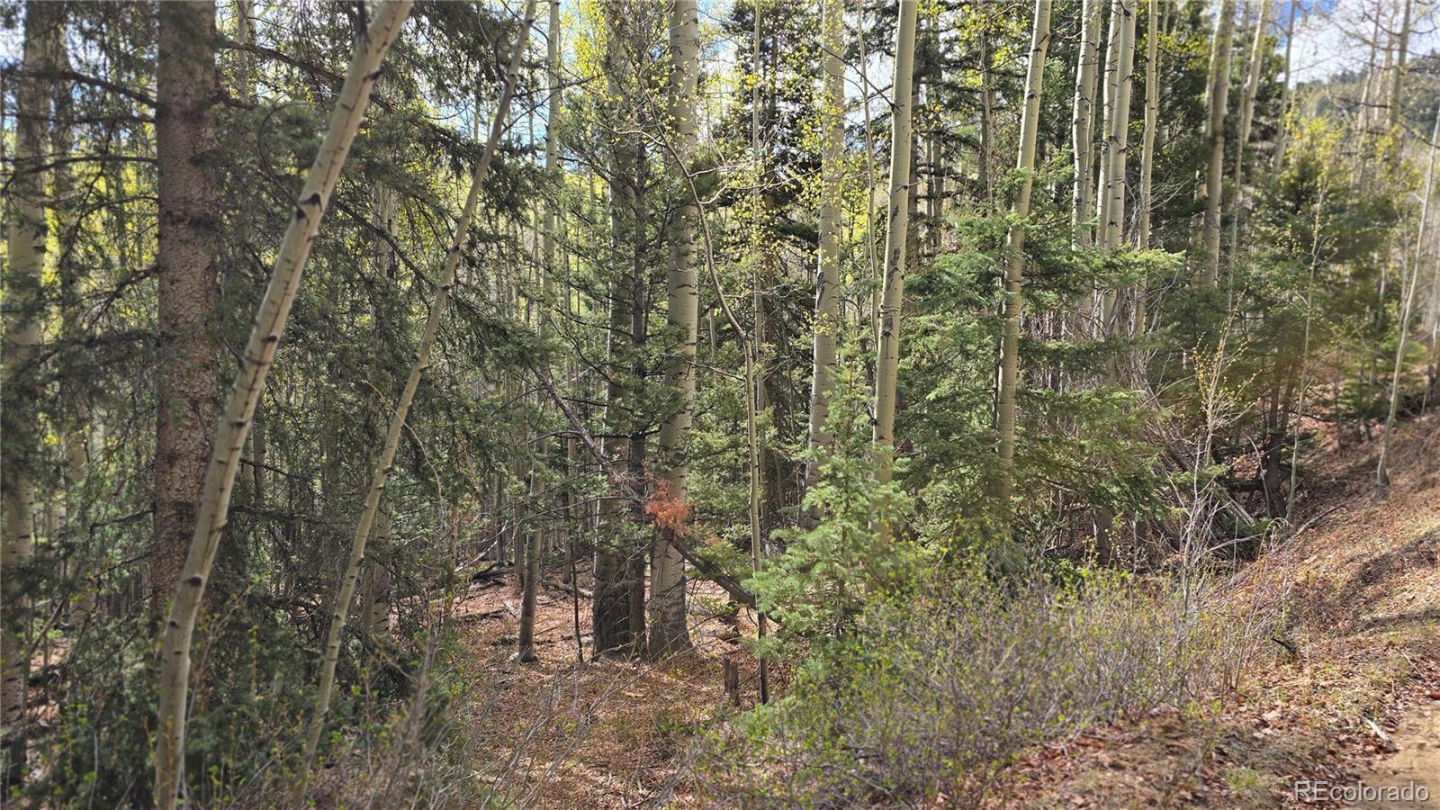 Lot 5244 Crossman Road Fort Garland CO 81133