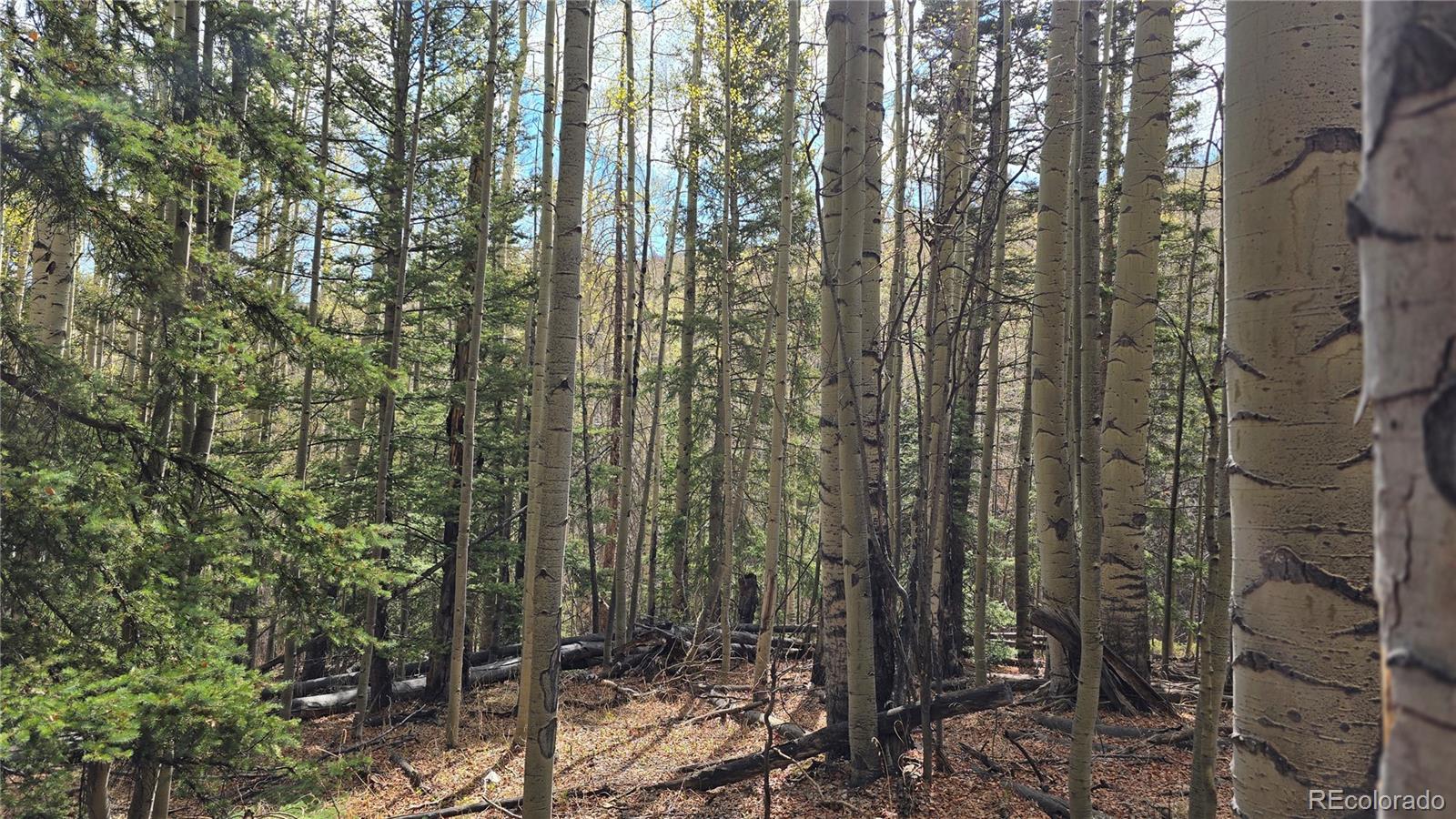 Lot 5244 Crossman Road Fort Garland CO 81133