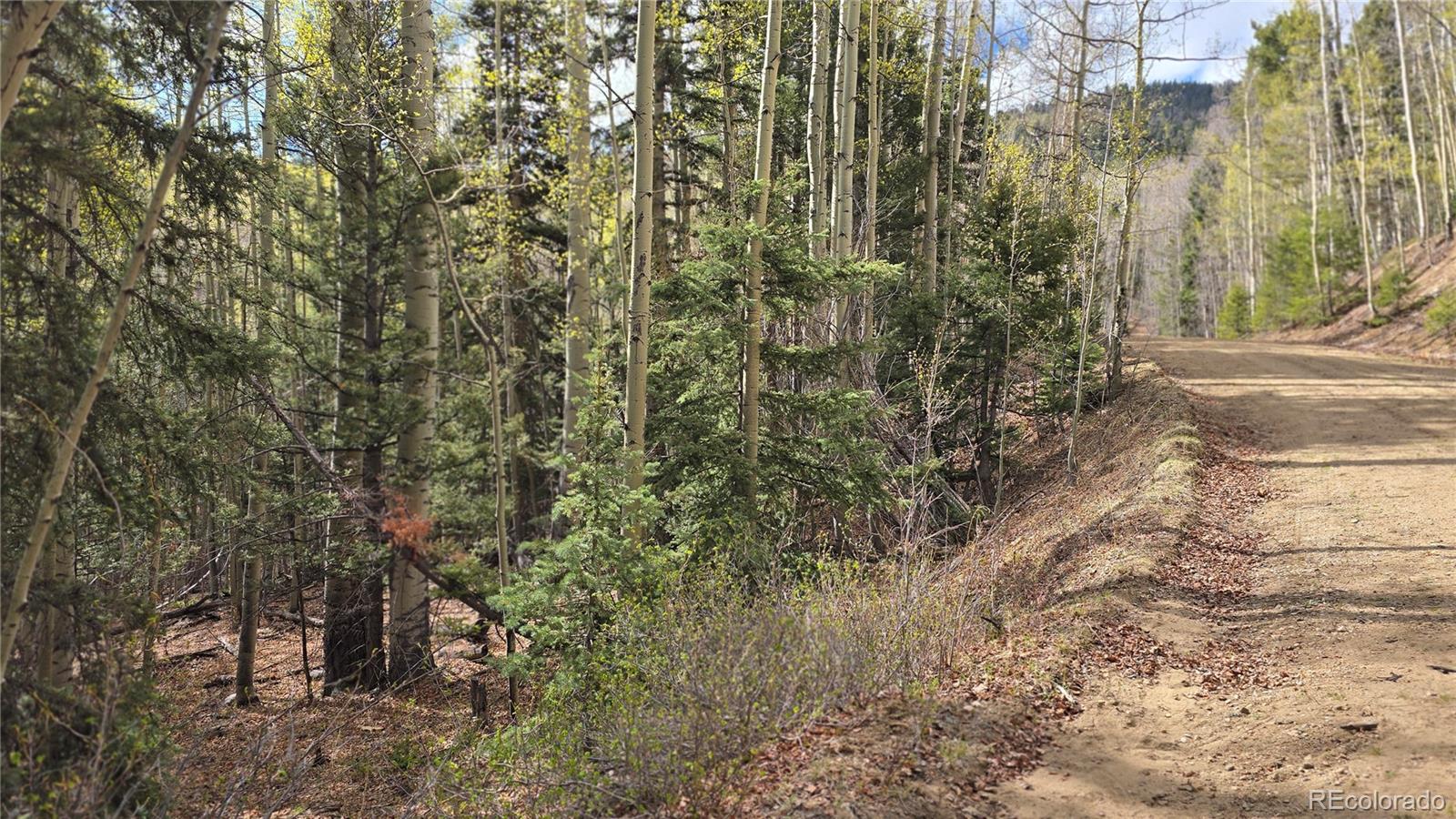 Lot 5244 Crossman Road Fort Garland CO 81133
