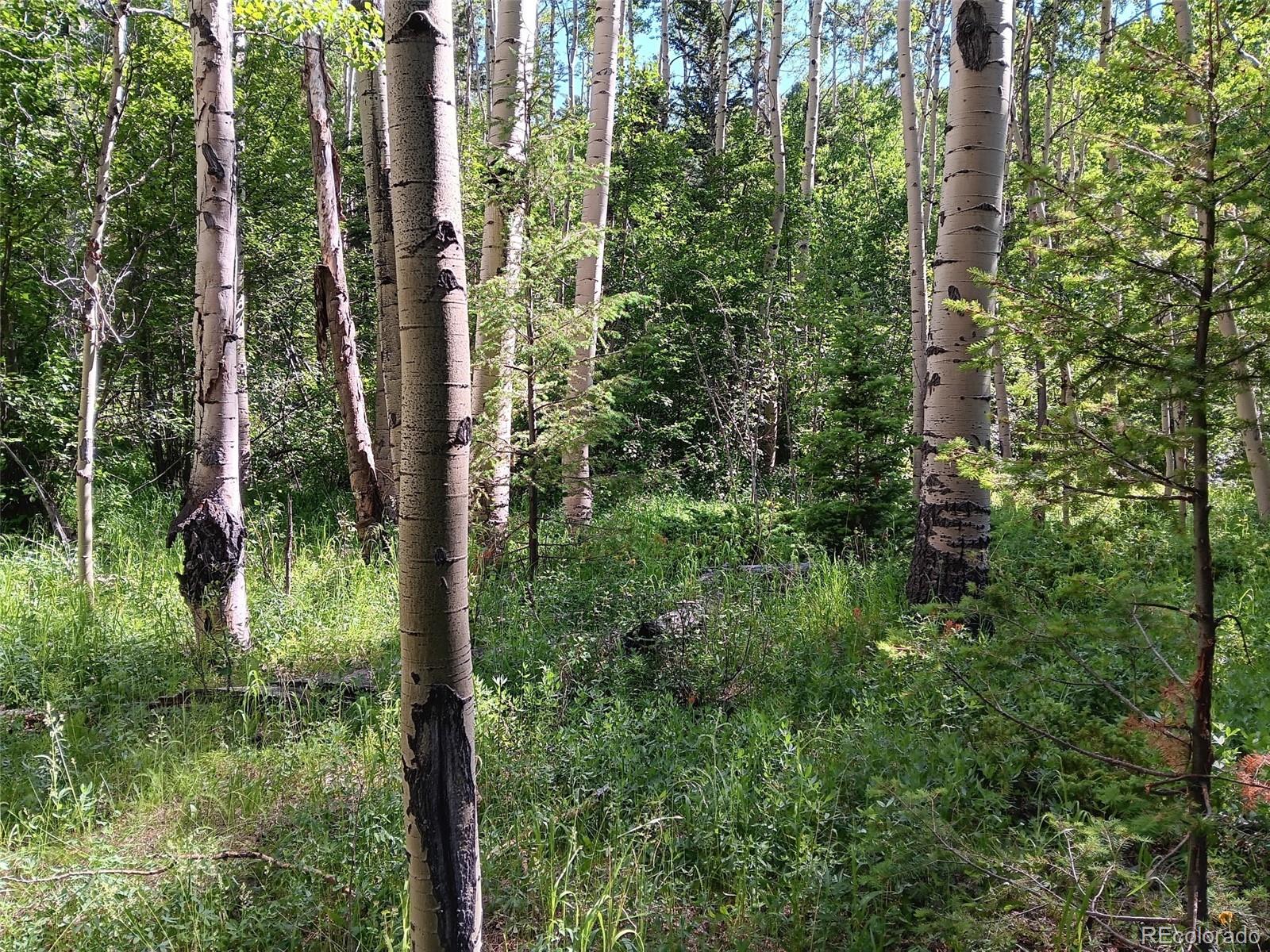 Lot 5244 Crossman Road Fort Garland CO 81133