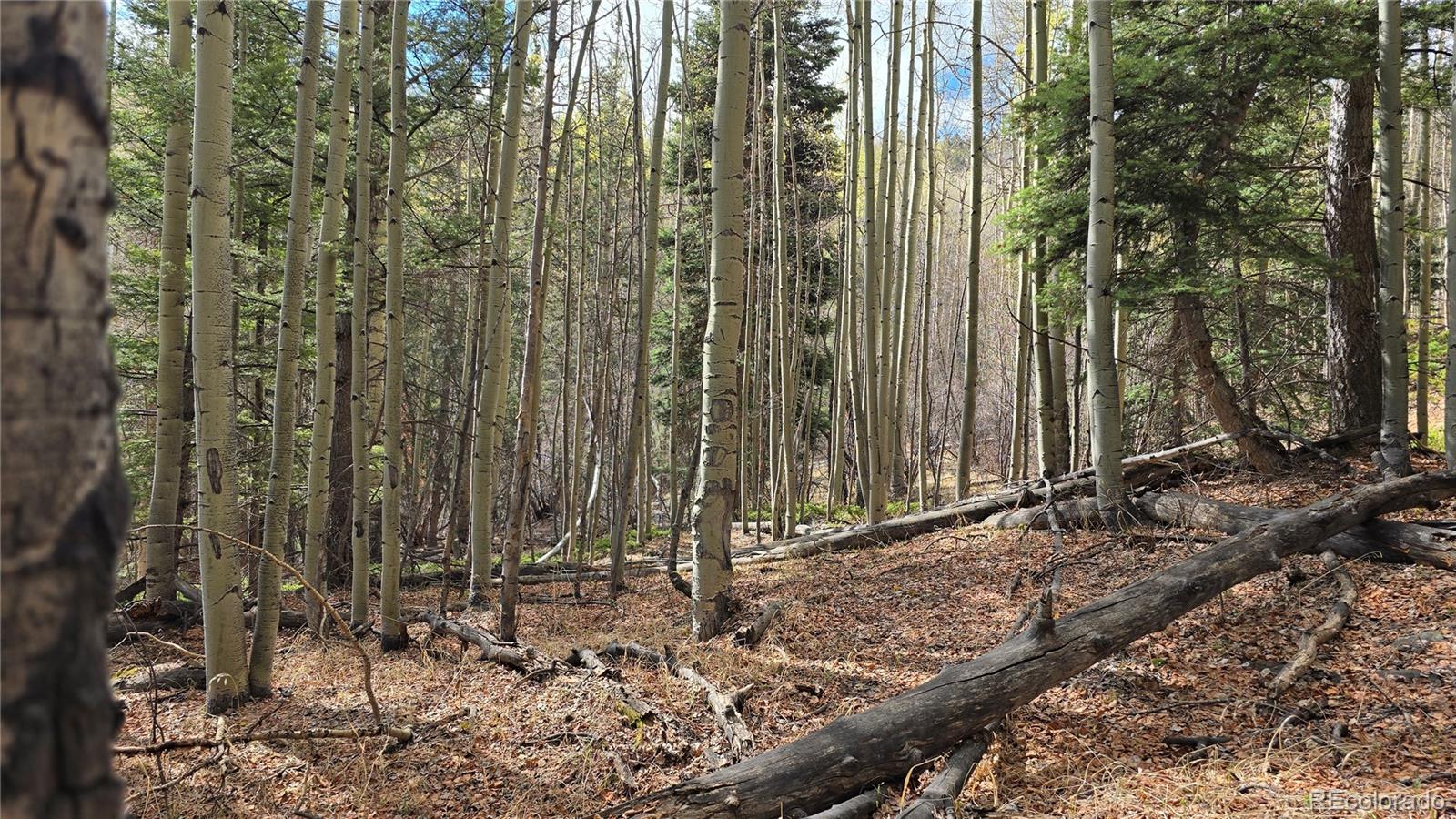 Lot 5244 Crossman Road Fort Garland CO 81133