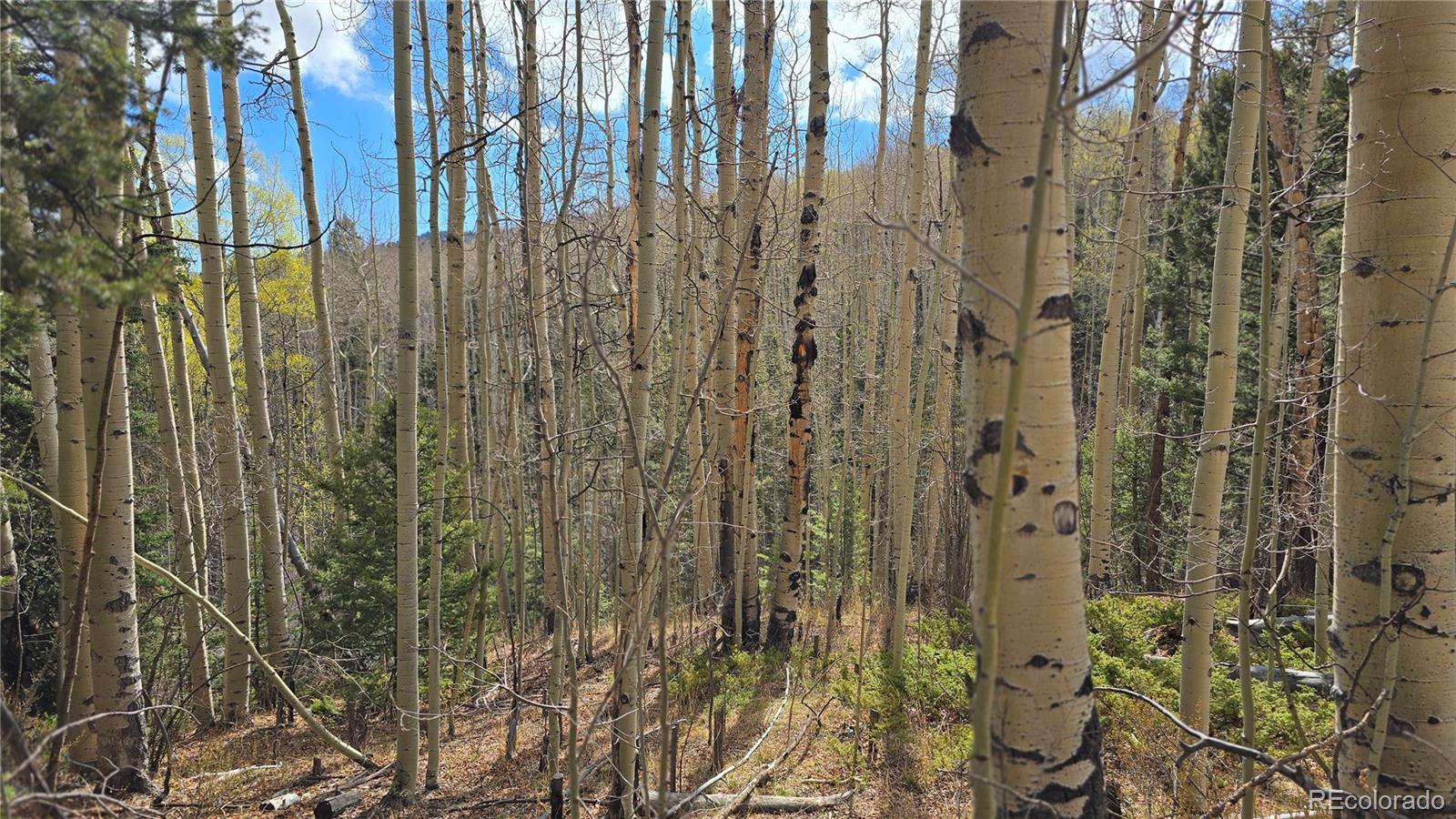 Lot 5244 Crossman Road Fort Garland CO 81133