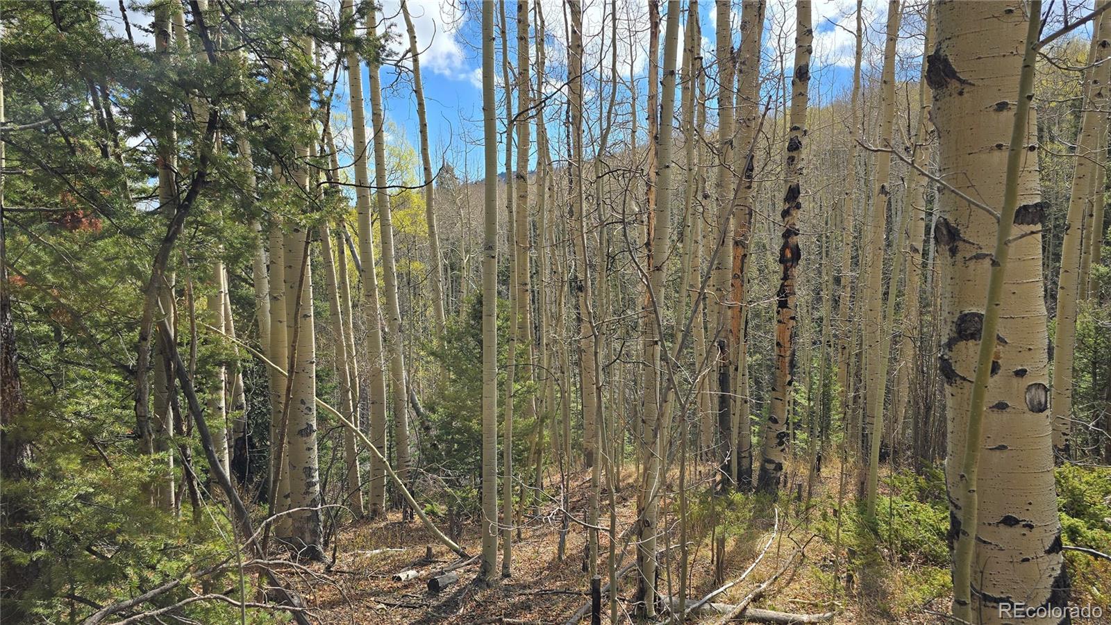 Lot 5244 Crossman Road Fort Garland CO 81133