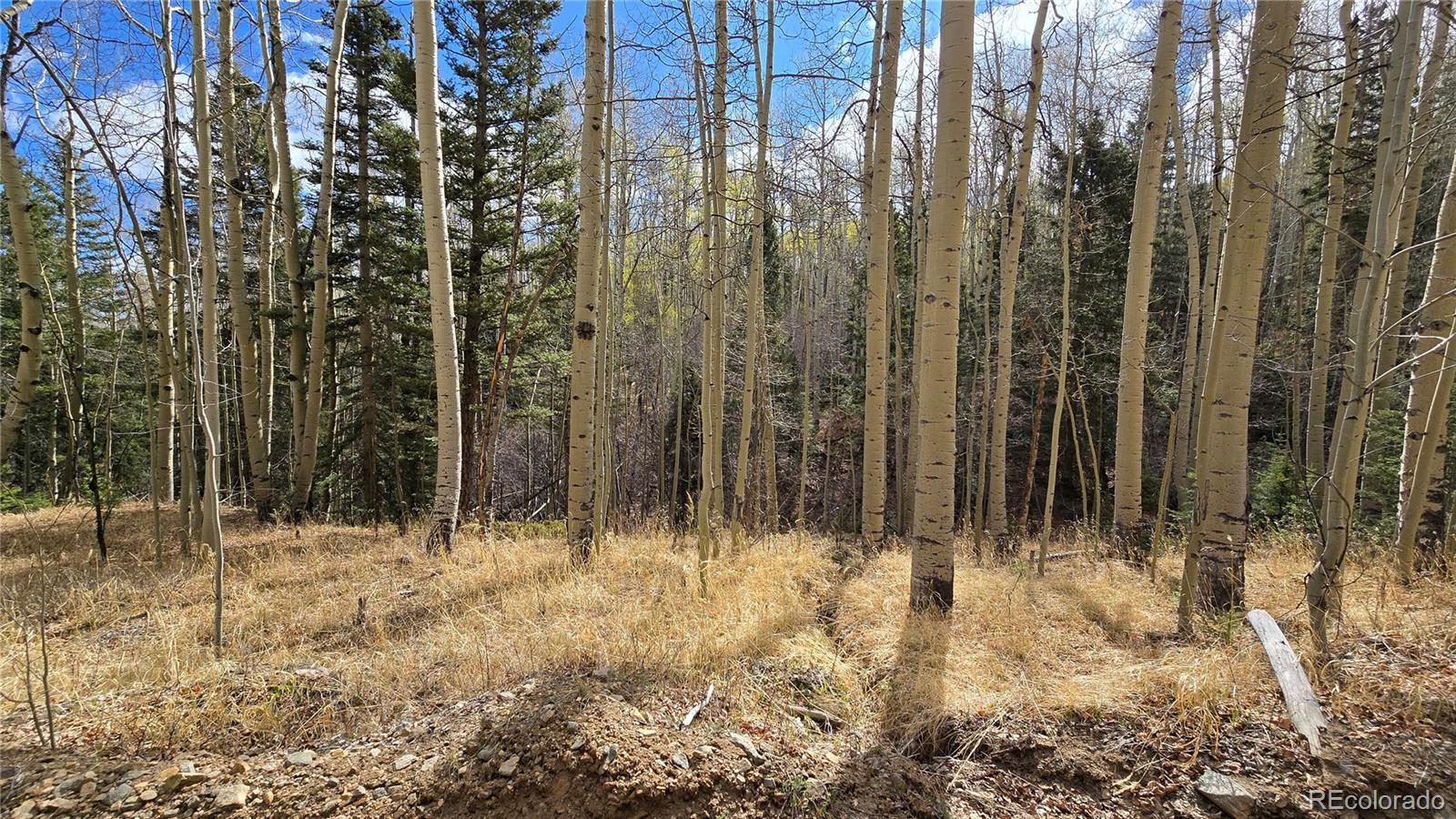Lot 5244 Crossman Road Fort Garland CO 81133