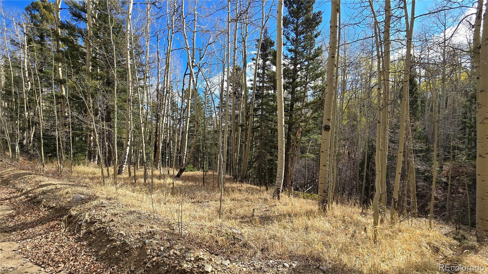Lot 5244 Crossman Road Fort Garland CO 81133