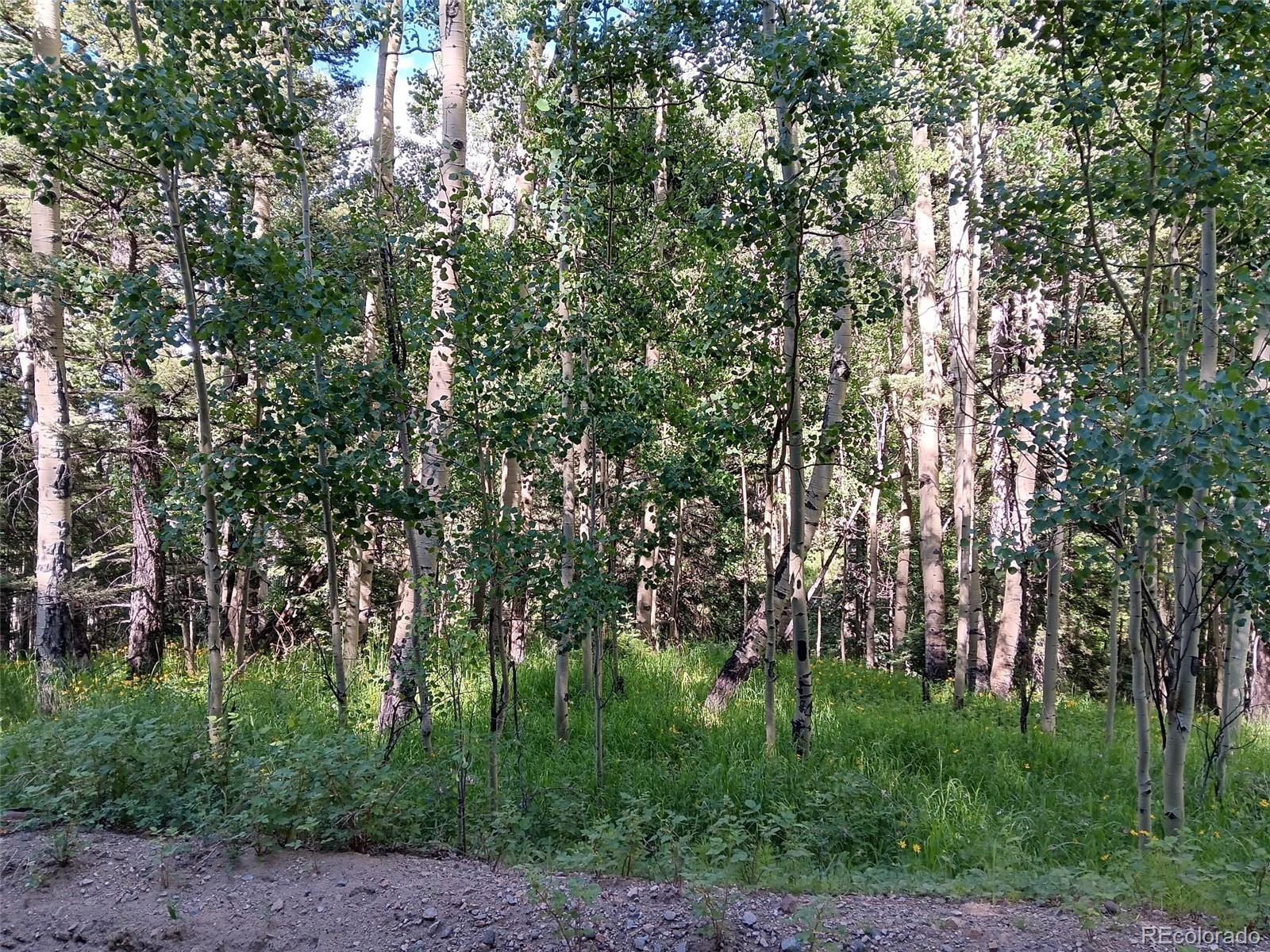 Lot 5244 Crossman Road Fort Garland CO 81133