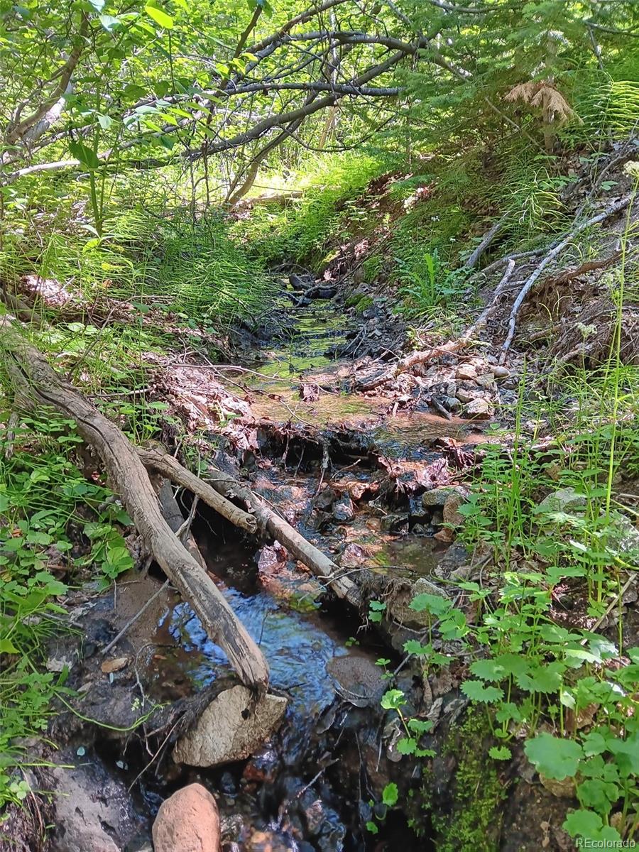 Lot 5244 Crossman Road Fort Garland CO 81133