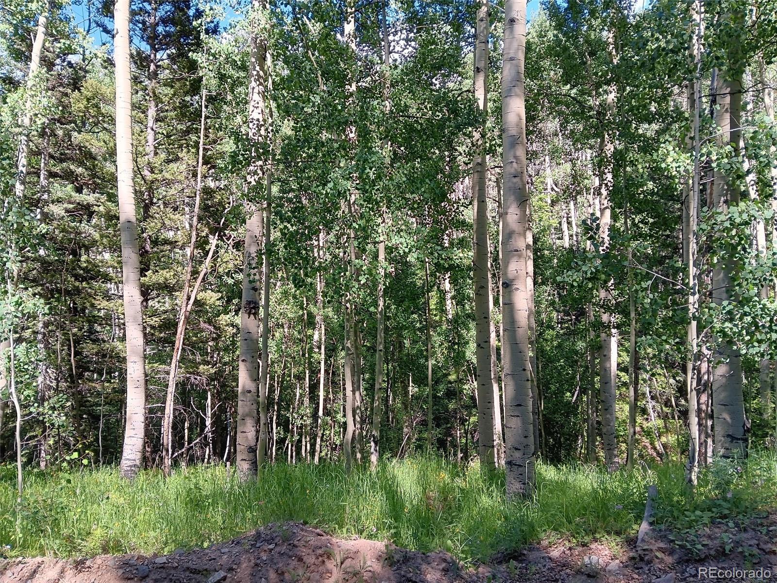 Lot 5244 Crossman Road Fort Garland CO 81133