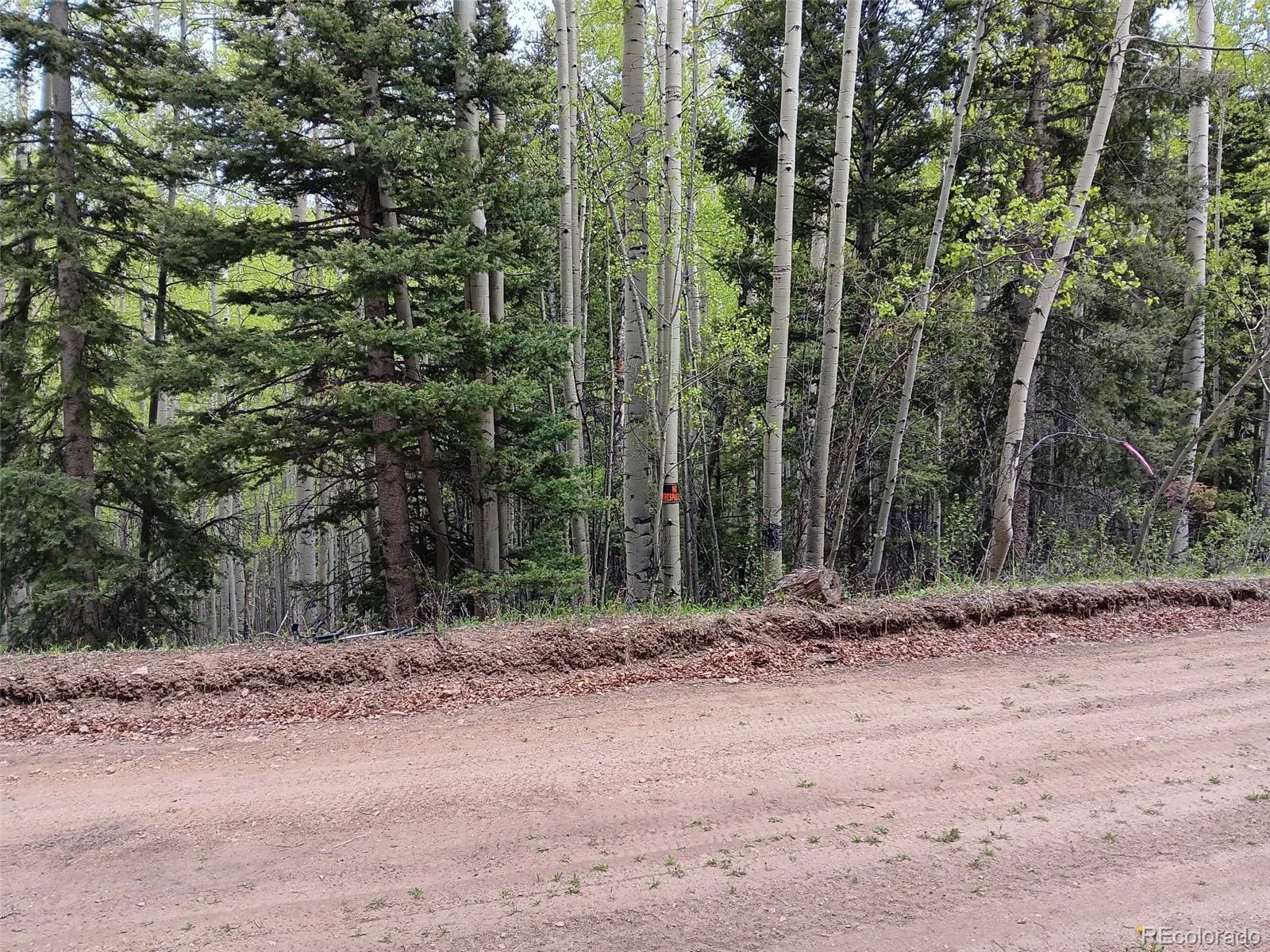 Lot 5244 Crossman Road Fort Garland CO 81133