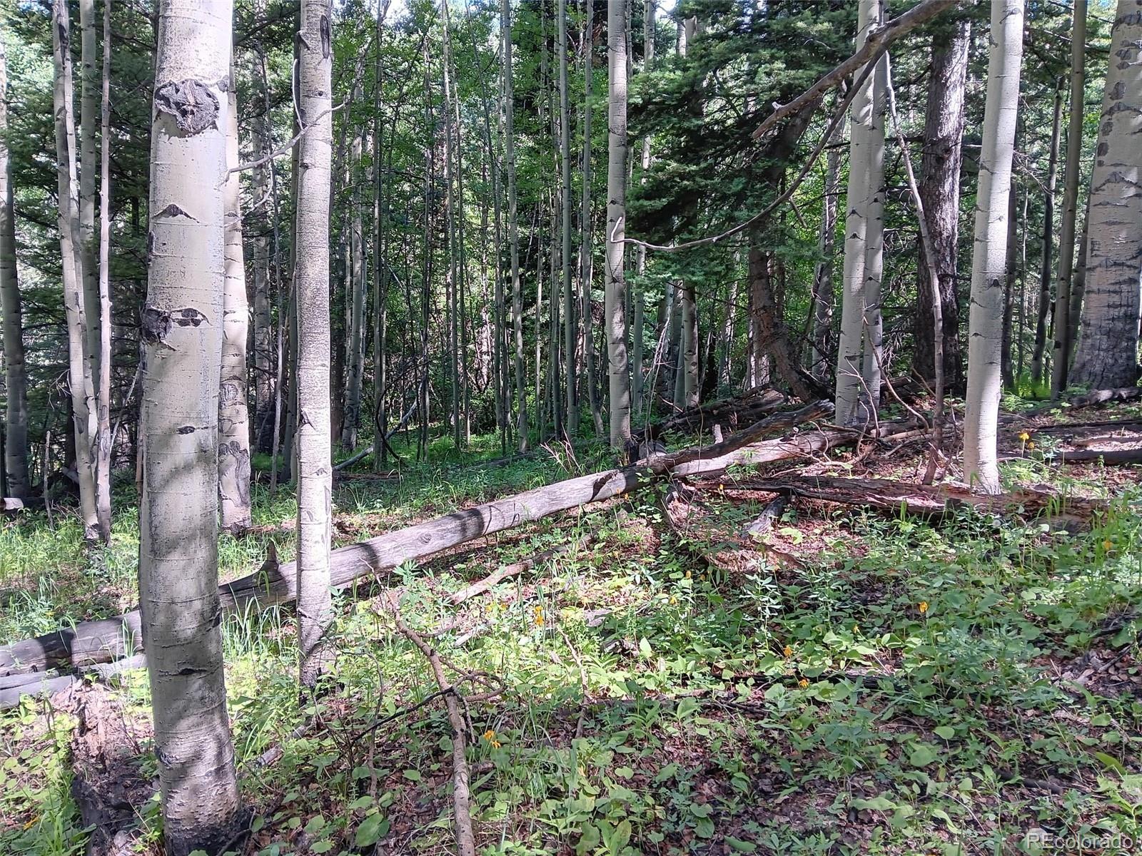 Lot 5244 Crossman Road Fort Garland CO 81133