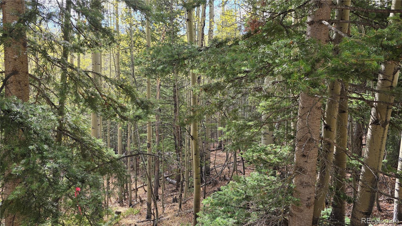 Lot 5244 Crossman Road Fort Garland CO 81133