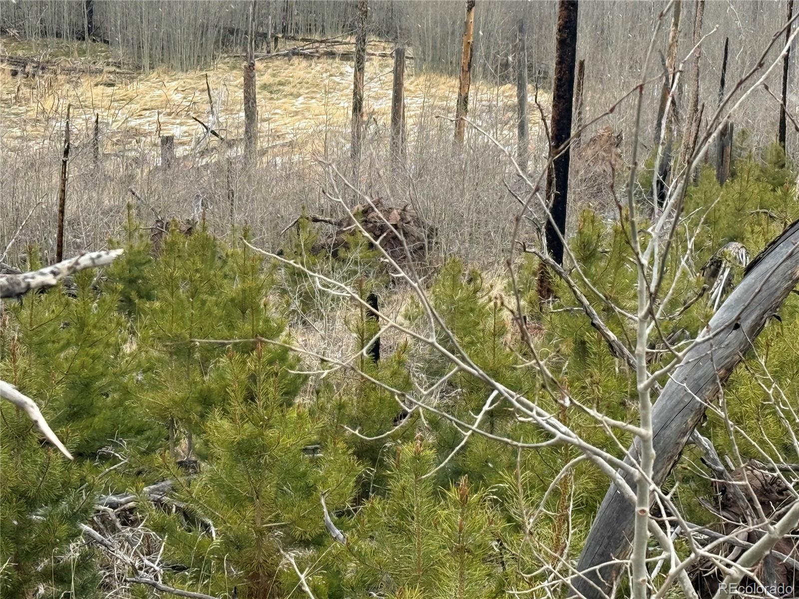 Lot 1960 Hilda Lane Fort Garland CO 81133