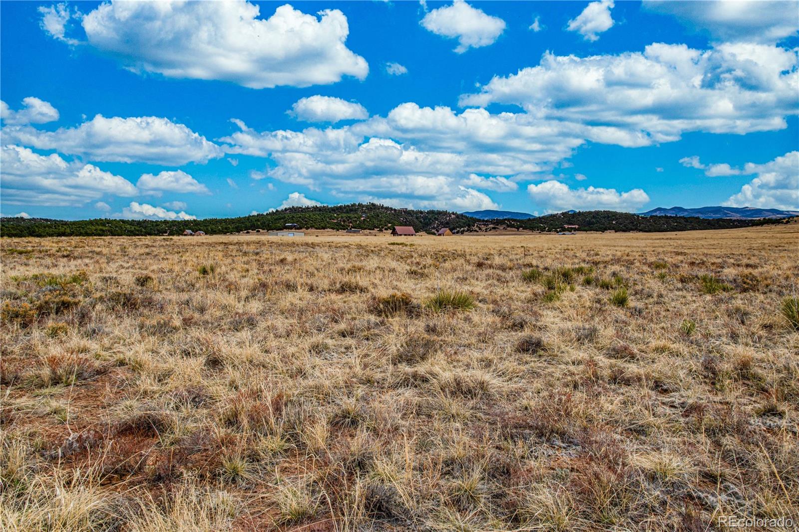 Piper Circle Westcliffe CO 81252