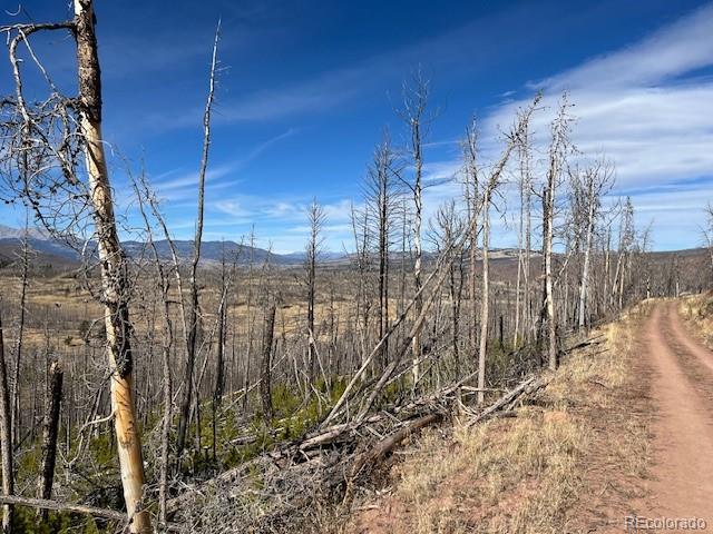 Lot 1741 Mathlide Place Fort Garland CO 81133
