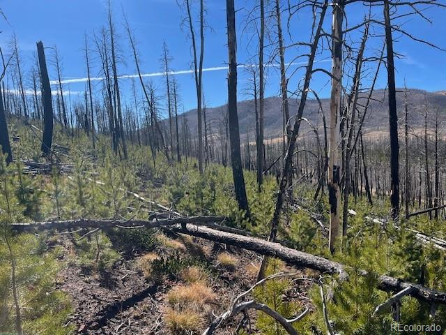 Lot 1741 Mathlide Place Fort Garland CO 81133