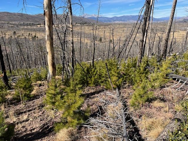 Lot 1741 Mathlide Place Fort Garland CO 81133