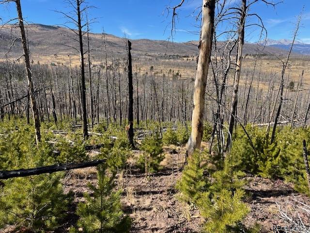 Lot 1741 Mathlide Place Fort Garland CO 81133