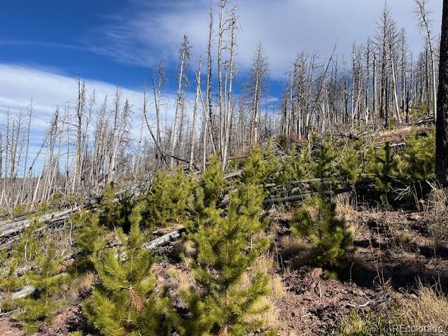 Lot 1741 Mathlide Place Fort Garland CO 81133