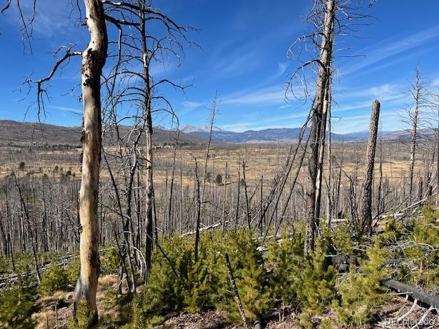 Lot 1741 Mathlide Place Fort Garland CO 81133