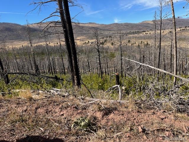 Lot 1741 Mathlide Place Fort Garland CO 81133
