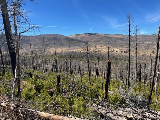 Lot 1741 Mathlide Place Fort Garland CO 81133