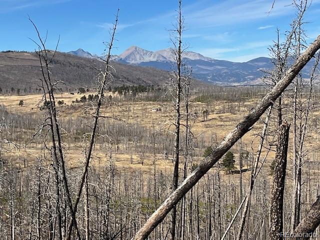 Lot 1741 Mathlide Place Fort Garland CO 81133