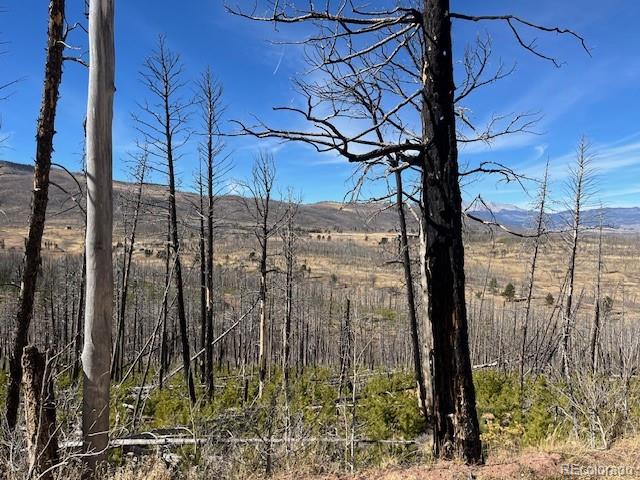 Lot 1741 Mathlide Place Fort Garland CO 81133