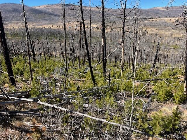 Lot 1741 Mathlide Place Fort Garland CO 81133