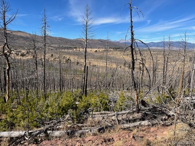 Lot 1741 Mathlide Place Fort Garland CO 81133