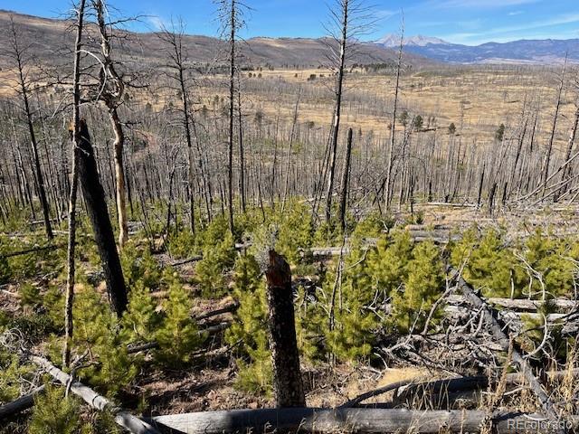 Lot 1741 Mathlide Place Fort Garland CO 81133
