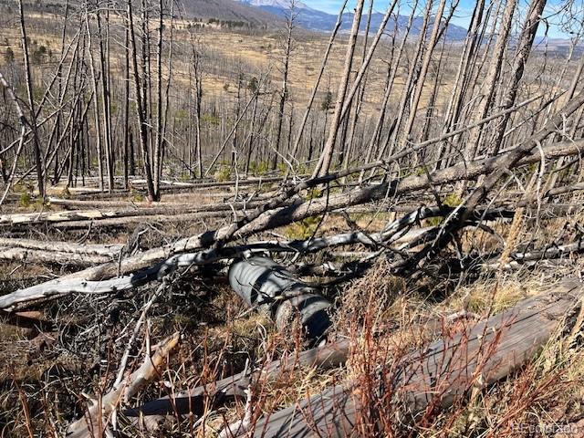 Lot 1741 Mathlide Place Fort Garland CO 81133