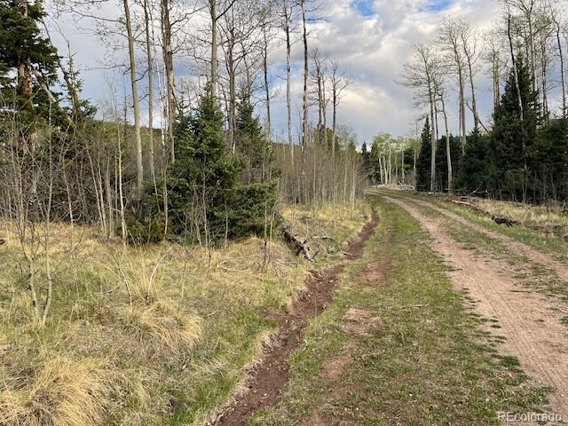 Lot 2610 Lux Lane Fort Garland CO 81133