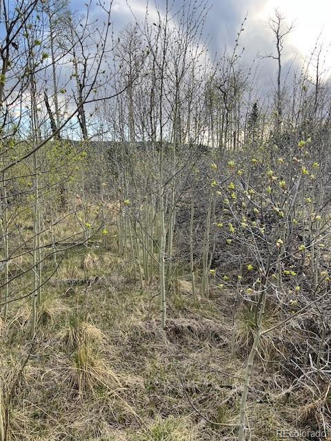 Lot 2610 Lux Lane Fort Garland CO 81133