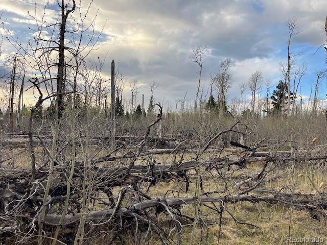 Lot 2610 Lux Lane Fort Garland CO 81133