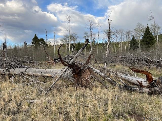 Lot 2610 Lux Lane Fort Garland CO 81133