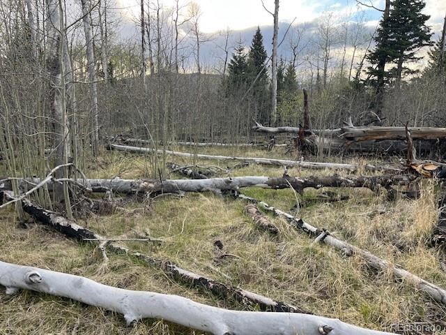 Lot 2610 Lux Lane Fort Garland CO 81133