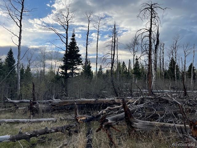 Lot 2610 Lux Lane Fort Garland CO 81133