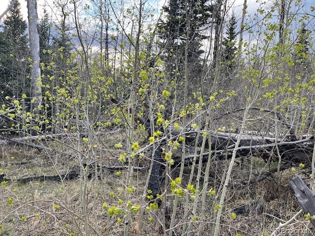Lot 2610 Lux Lane Fort Garland CO 81133