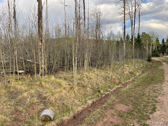 Lot 2610 Lux Lane Fort Garland CO 81133