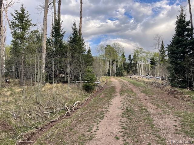 Lot 2610 Lux Lane Fort Garland CO 81133