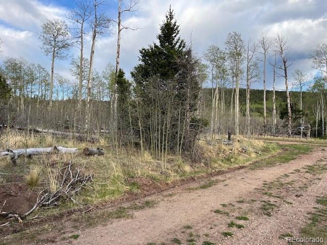 Lot 2610 Lux Lane Fort Garland CO 81133
