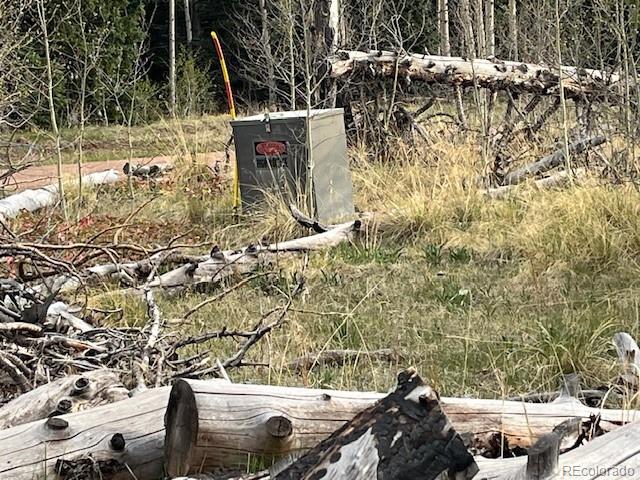 Lot 2610 Lux Lane Fort Garland CO 81133