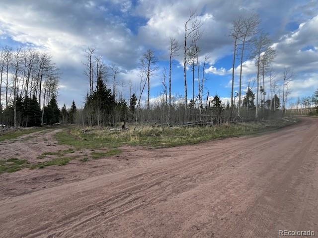 Lot 2610 Lux Lane Fort Garland CO 81133