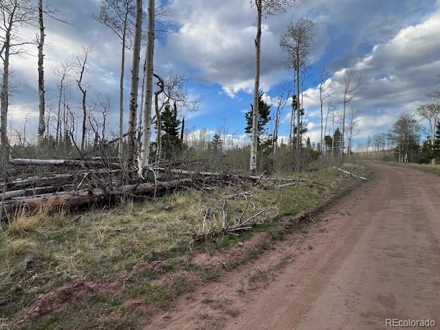 Lot 2610 Lux Lane Fort Garland CO 81133