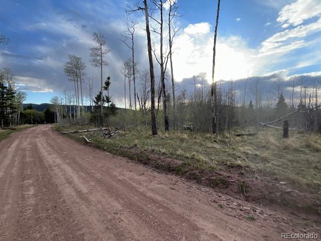 Lot 2610 Lux Lane Fort Garland CO 81133