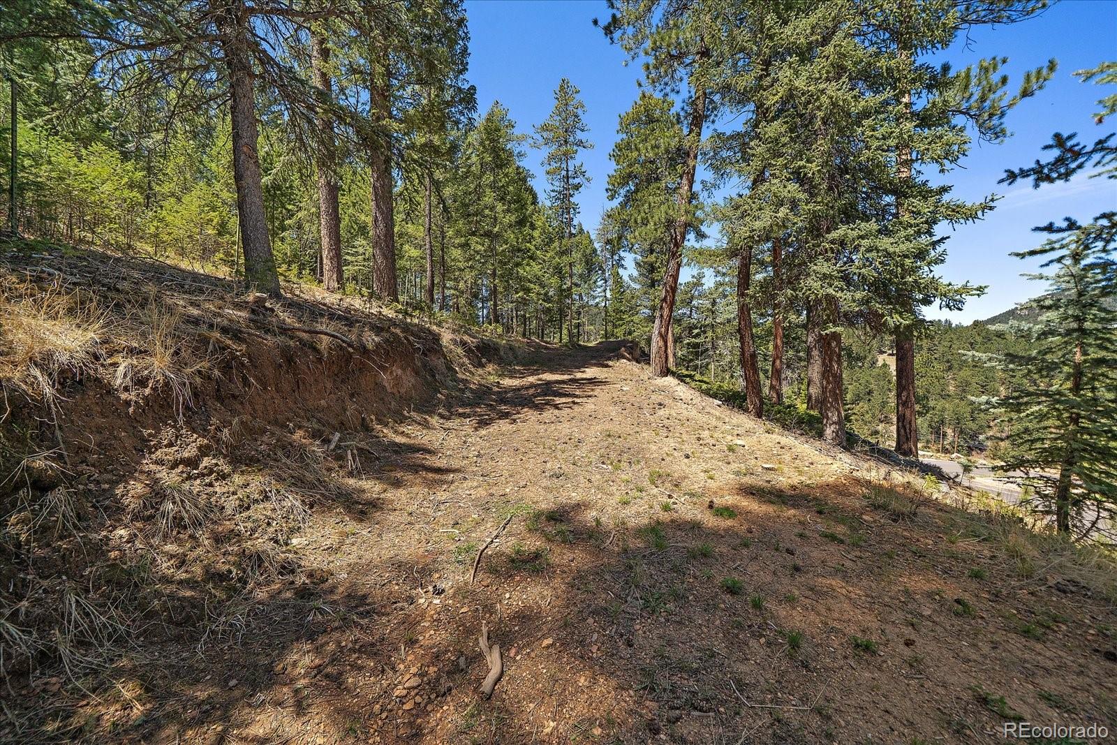 6855 Lynx Lair Road Evergreen CO 80439