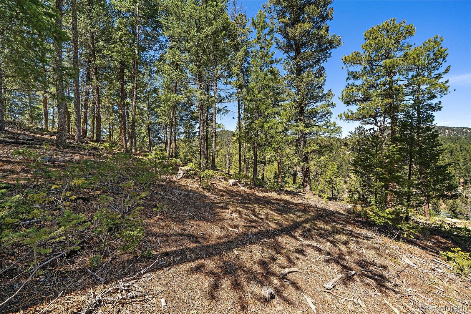 6855 Lynx Lair Road Evergreen CO 80439