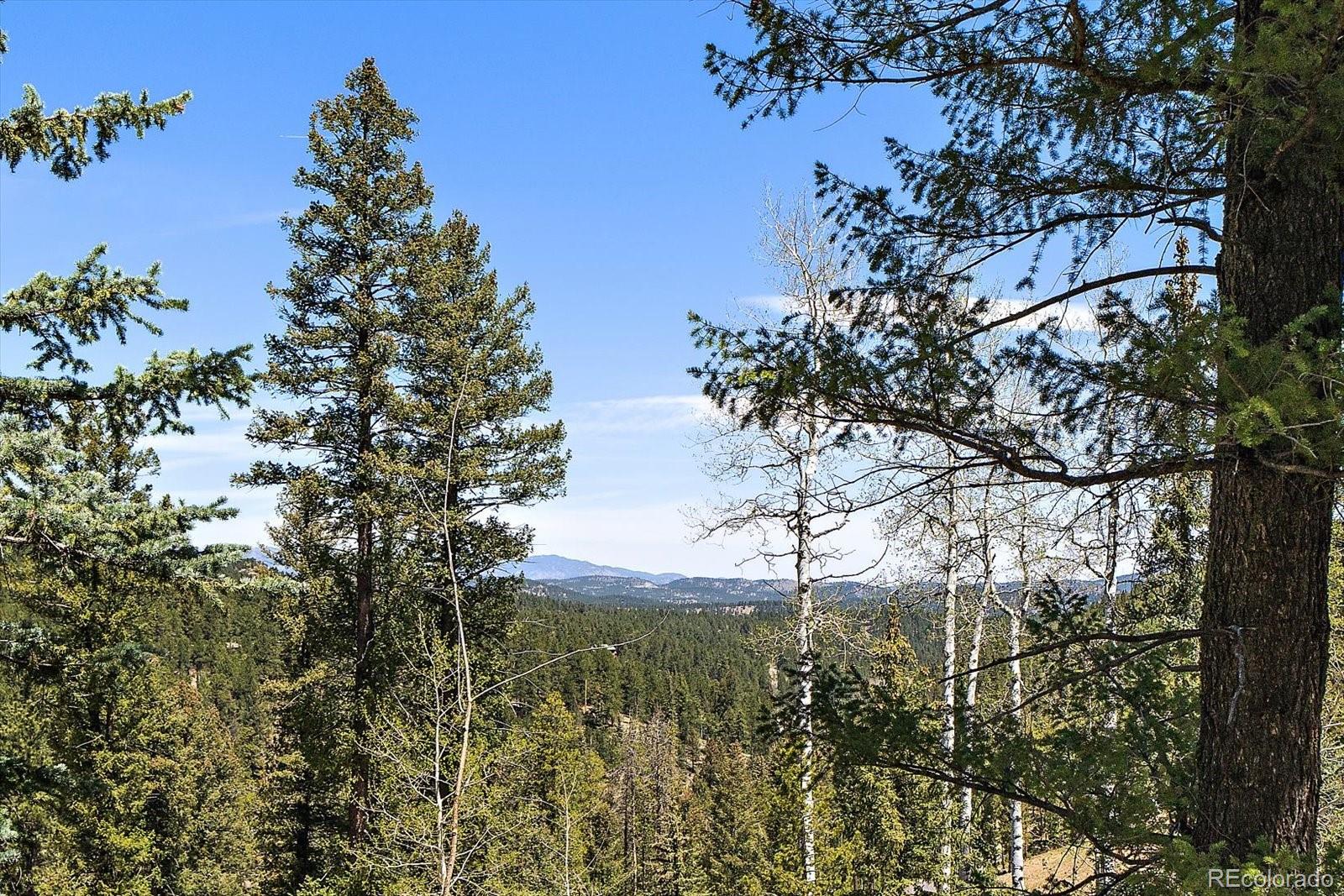 6855 Lynx Lair Road Evergreen CO 80439